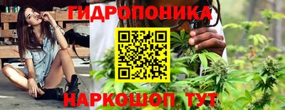 spice Кулебаки