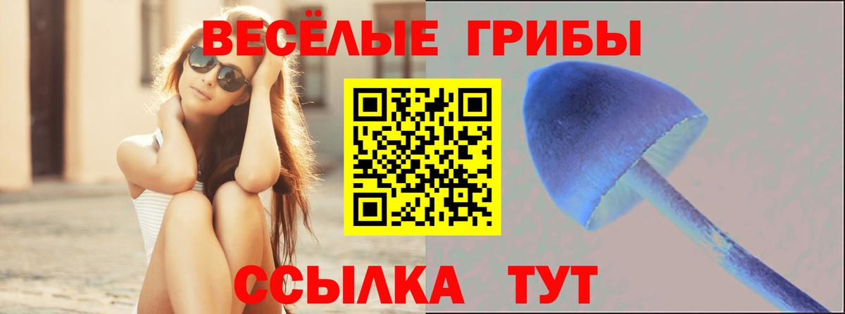 Горно-Алтайск  Галлюциногенные грибы Cubensis  Вход с VPN  Псилоцибиновые грибы мицелий 